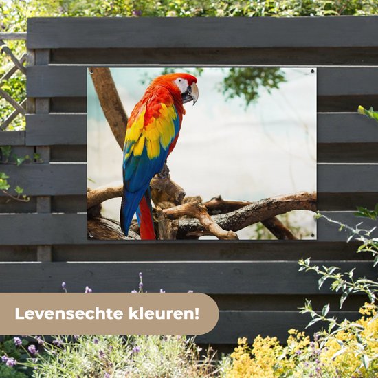 Poster de Jardin Perroquet - Vogel - Arc-en-ciel - Tropical - 200x200 cm - Toile de jardin