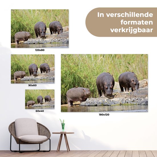 Posters de jardin extérieur Hippopotames - Water - Afrique du Sud - 90x60 cm - Toile jardin - Affiche extérieure
