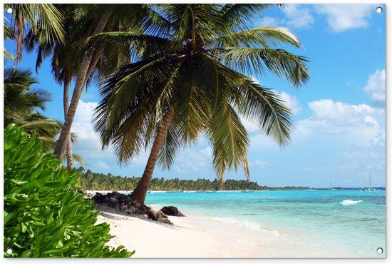 Palmbomen op een zonnig strand met turquoise water en witte wolken.