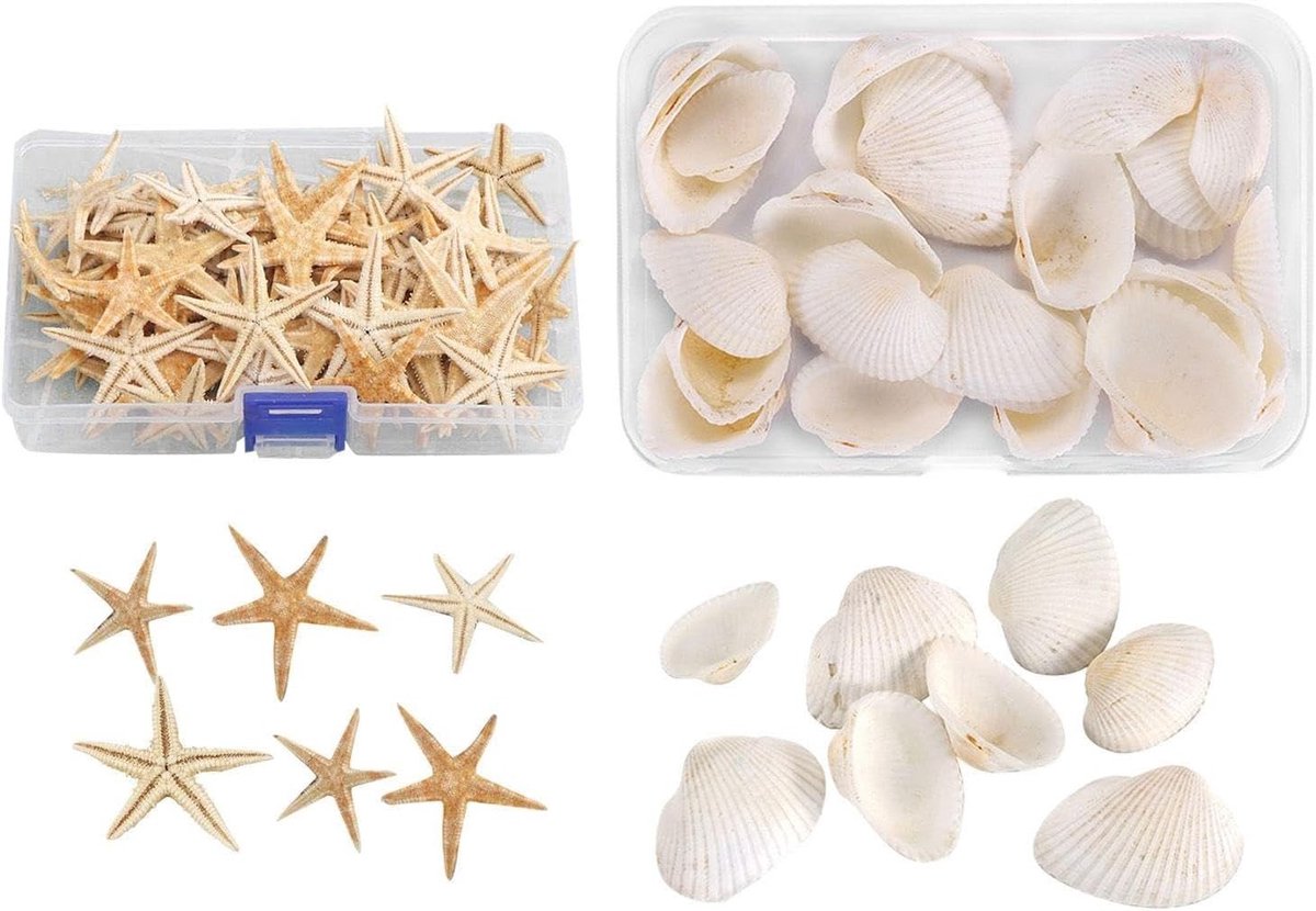 SPHProducts - Aquarium Decoratie - Zeesterren en Schelpen - Perfect voor Thuisdecoratie - DIY Knutselen - Geschikt voor Aquaria en Ambachtelijke Proje