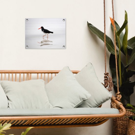Tuinposter 40x30 cm - Tuindecoratie Scholekster weerspiegelt in het water - Poster voor in de tuin - Buiten decoratie - Schutting tuinschilderij - Tuindoek muurdecoratie - Wanddecoratie balkondoek