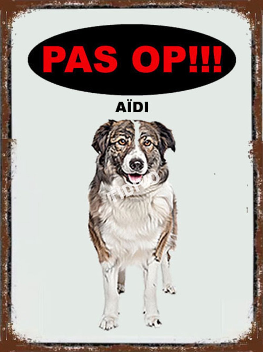 Aïdi 17