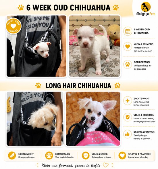 Chihuahua puppy's in een zwarte hondendraagtas met ruiten voering. Een puppy kijkt uit de tas, een andere staat.