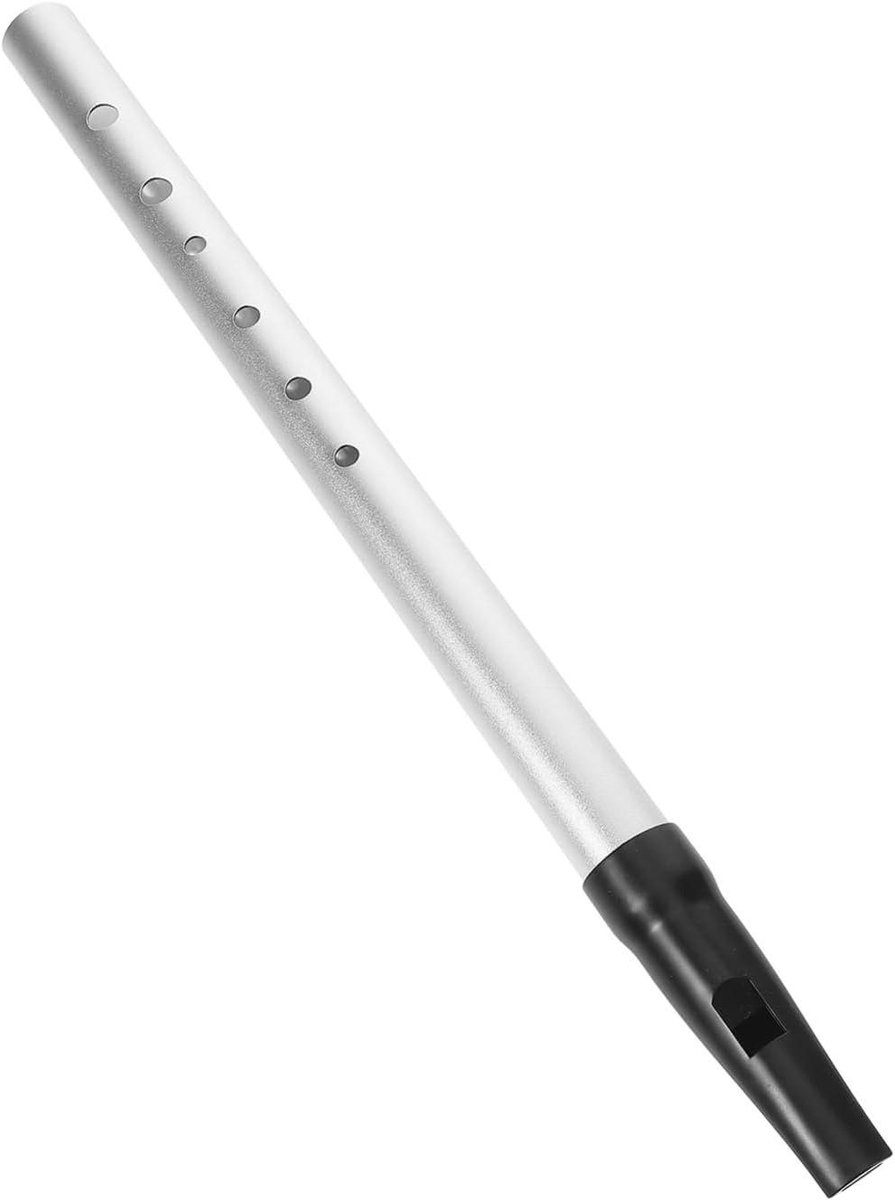 Ierse Fluit - Blokfluit C-toonsoort - Muziek Leren - 6-Gats Ontwerp - 35 cm - Zilver