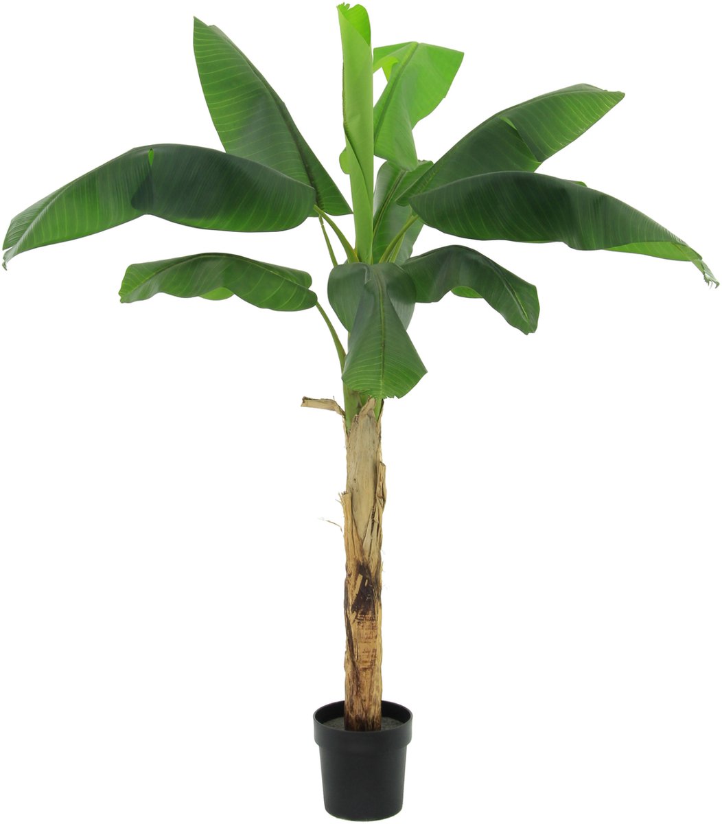 Florafy Kunstplant Bananenplant 180cm - Kunstplanten voor binnen - Onderhoudsvrij Groen
