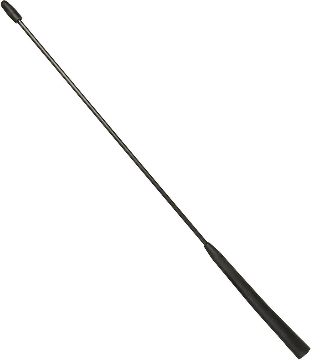 Flexibele Antenne - Radio Antenne - Autoradio Luisteren - Geprofileerde Staaf - 40 cm - Zwart