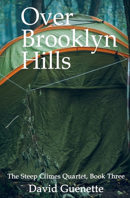 The Steep Climes Quartet- Over Brooklyn Hills - cover