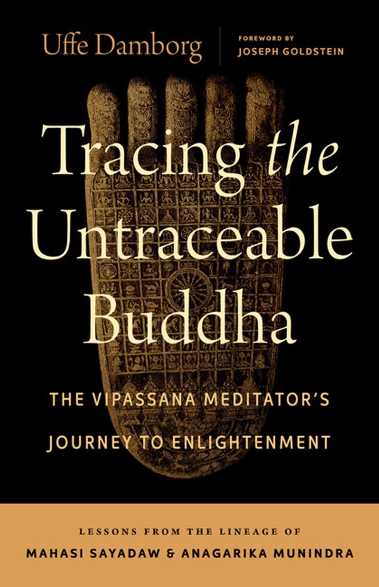 Tracing the Untraceable Buddha - cover