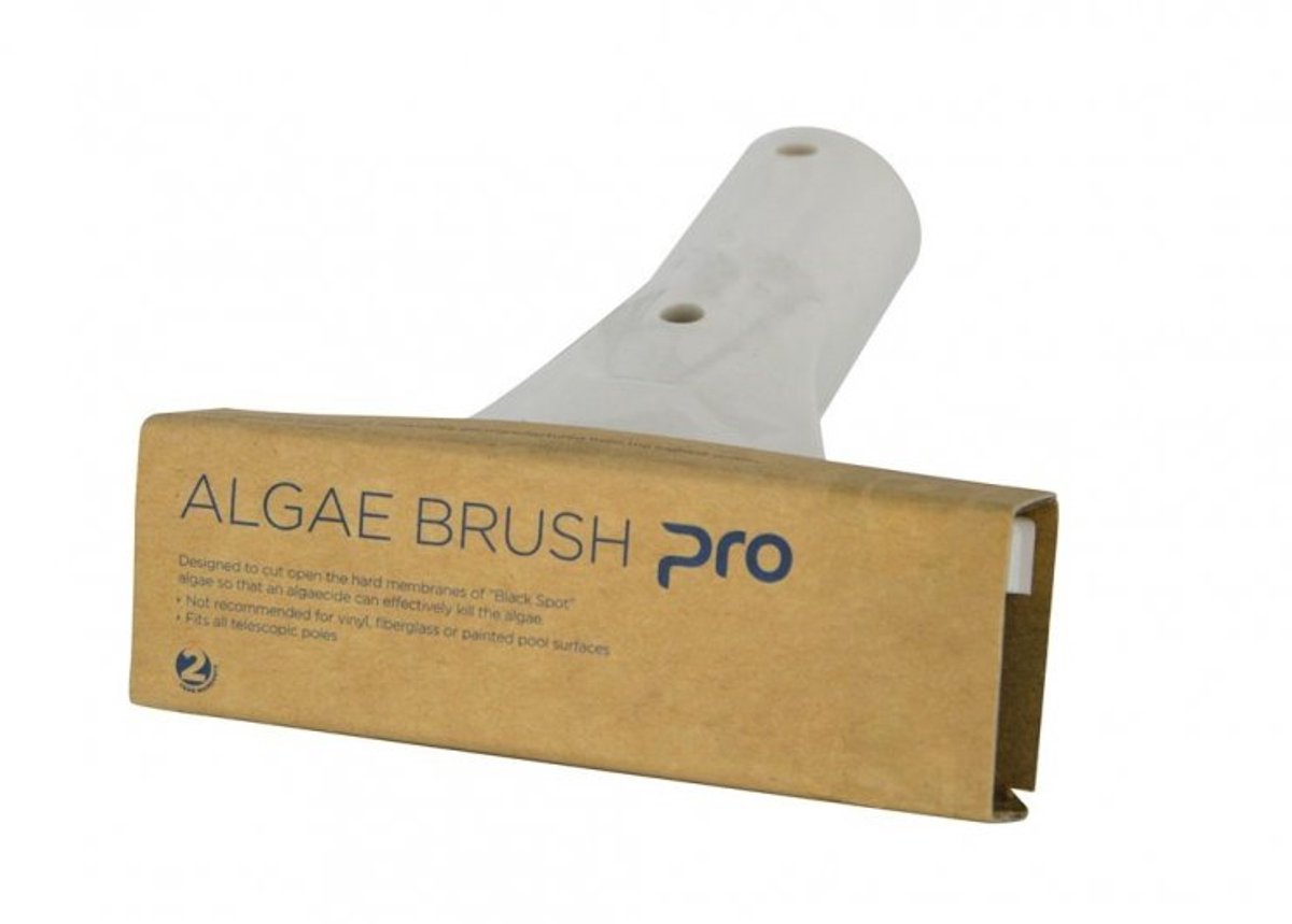Algae Brush Pro Waterco - Algenborstel - Borstel - Zwembadonderhoud - Kuismateriaal