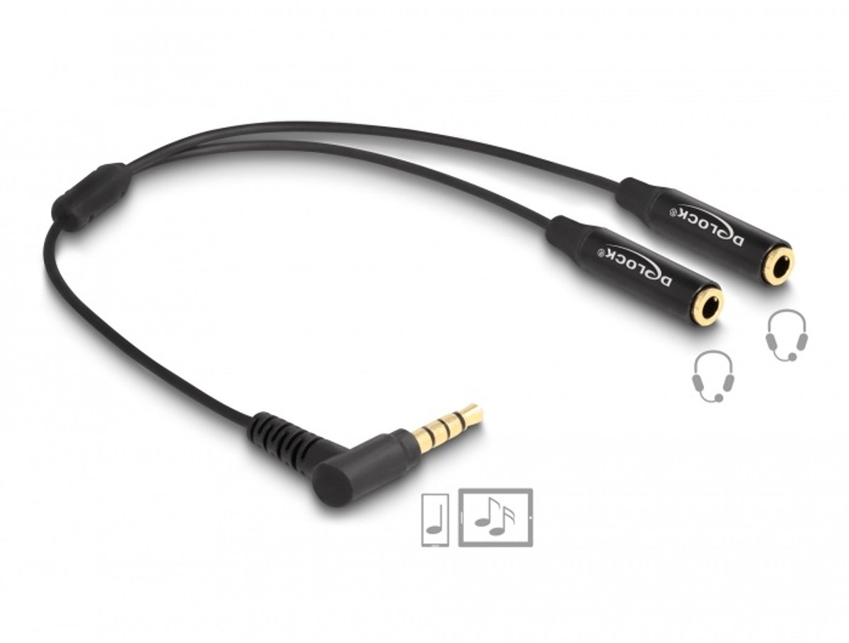DeLOCK 66242 audio kabel 0,25 meter 3.5mm 2 x 3.5mm Zwart