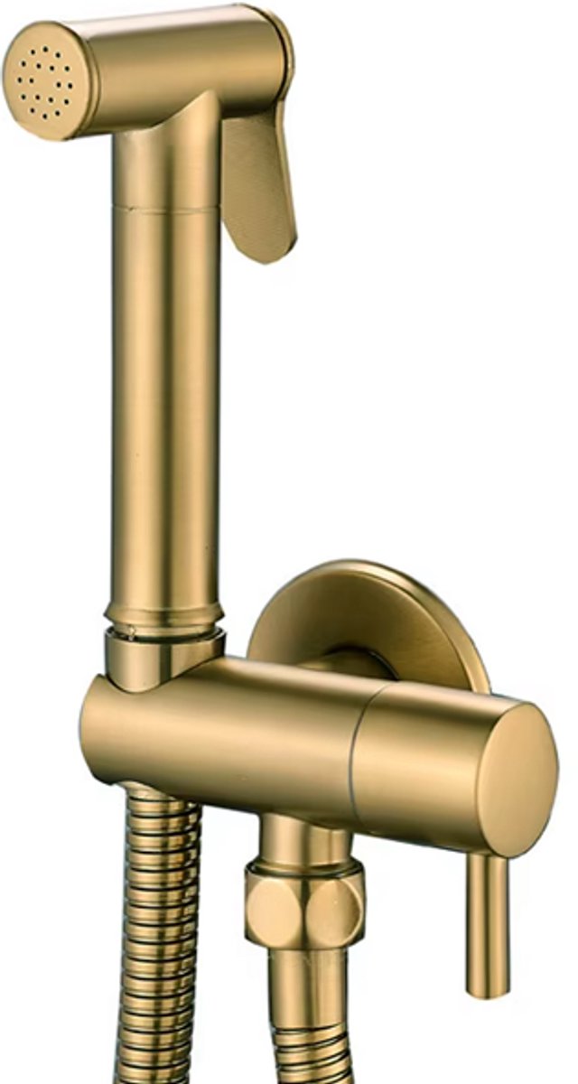 Luxe RVS Bidet Doucheset Mat Goud – Complete 5-in-1 Set – Handdouche Bidet / Hand Shower – Geïntegreerde Houder (Zonder Boren) – Explosieveilige Spiraalslang – G 1/2