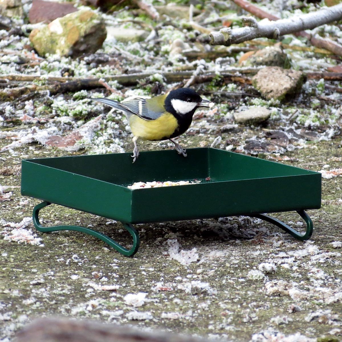 Aniculis - Metaal-Grondvoedertafel voor vogels (groen) | Voederschaal voor vogelvoer | Solide metaalconstructie, gecoate spiraalbodem | 19 x 17cm
