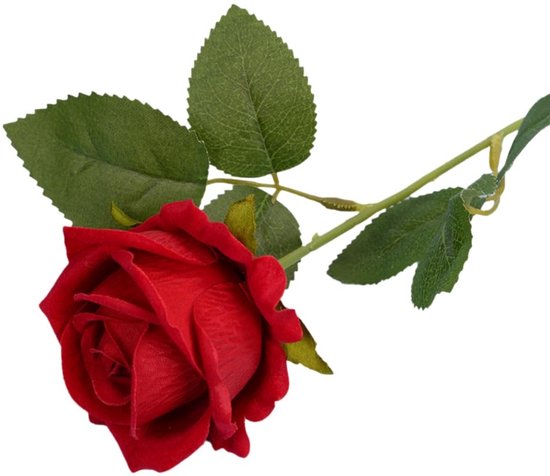 Dailygoods- Kunstrozen 51 cm - 10 Stuks - Neprozen/Fluwelen Rozen - Bruidsboeket/Woondecoratie - Realistische Bloemen - Diverse Kleuren