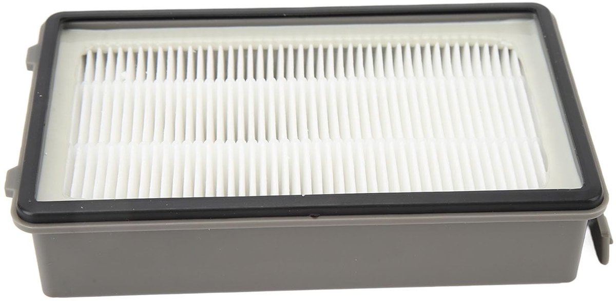 Dailygoods- Stofzuigerfilter Vervangingsfilterset - Geschikt voor RO4811EA/RO4871EA/RO4855EA - Efficiente Deeltjeslucht - Gemakkelijk te Reinigen - Tijdige Vervanging - Filterset