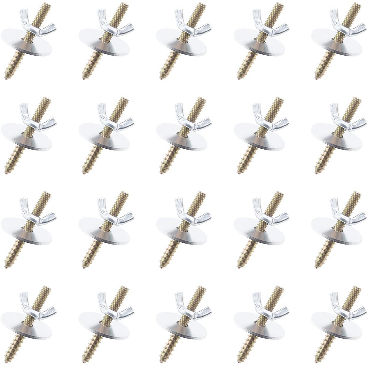 Dailygoods- Vogelkooi Montage Kit - 20 Sets M6 Schroeven - Roestvrij Staal - Vleugelmoeren - Schroefaccessoires - Geschikt voor Zitstokken - Vogelaccessoires