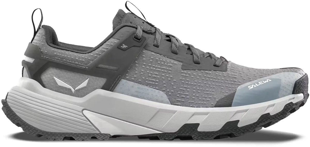 Wandelschoenen Salewa Pedroc Blauw