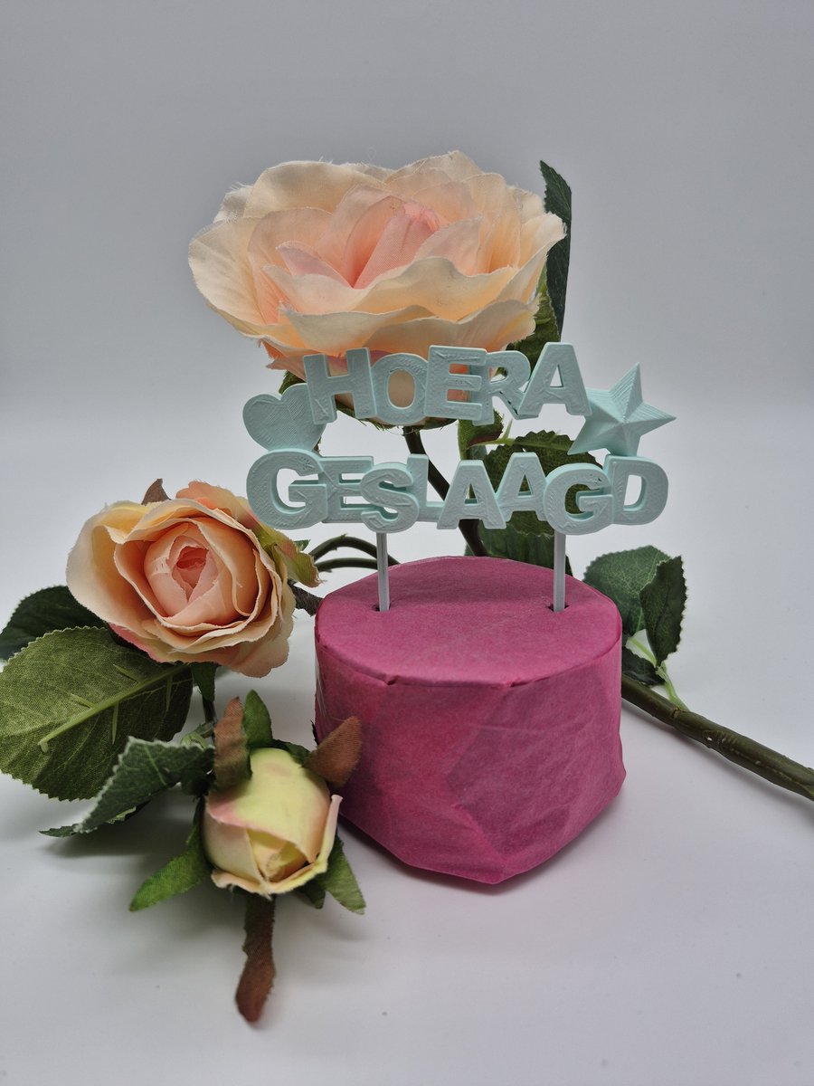 Caketopper Hoera Geslaagd mint groen