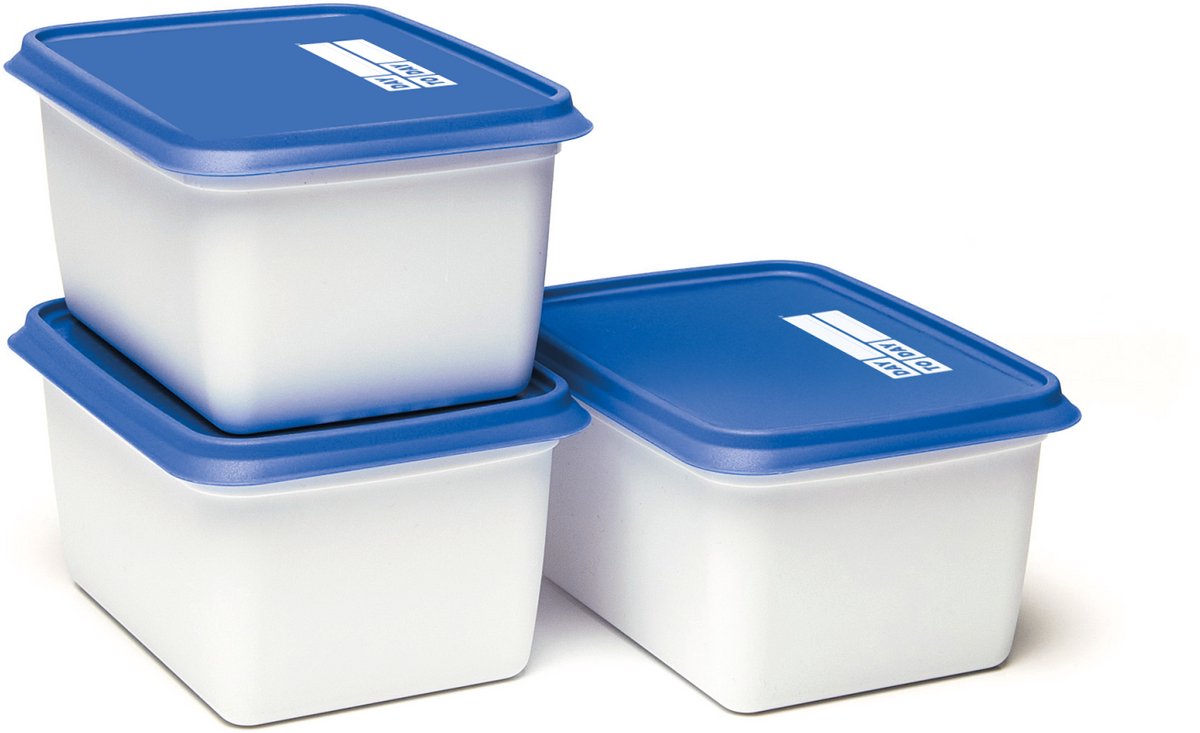 Day To Day - Alaska Diepvriesdozen - 3x 1000 ml - Diepvries Vershoudbakjes - Stapelbare Bewaarbakjes - BPA-vrije Bewaardozen - Vaatwasbestendig & Microgolfoven Veilige Vershouddozen - Gemaakt in België