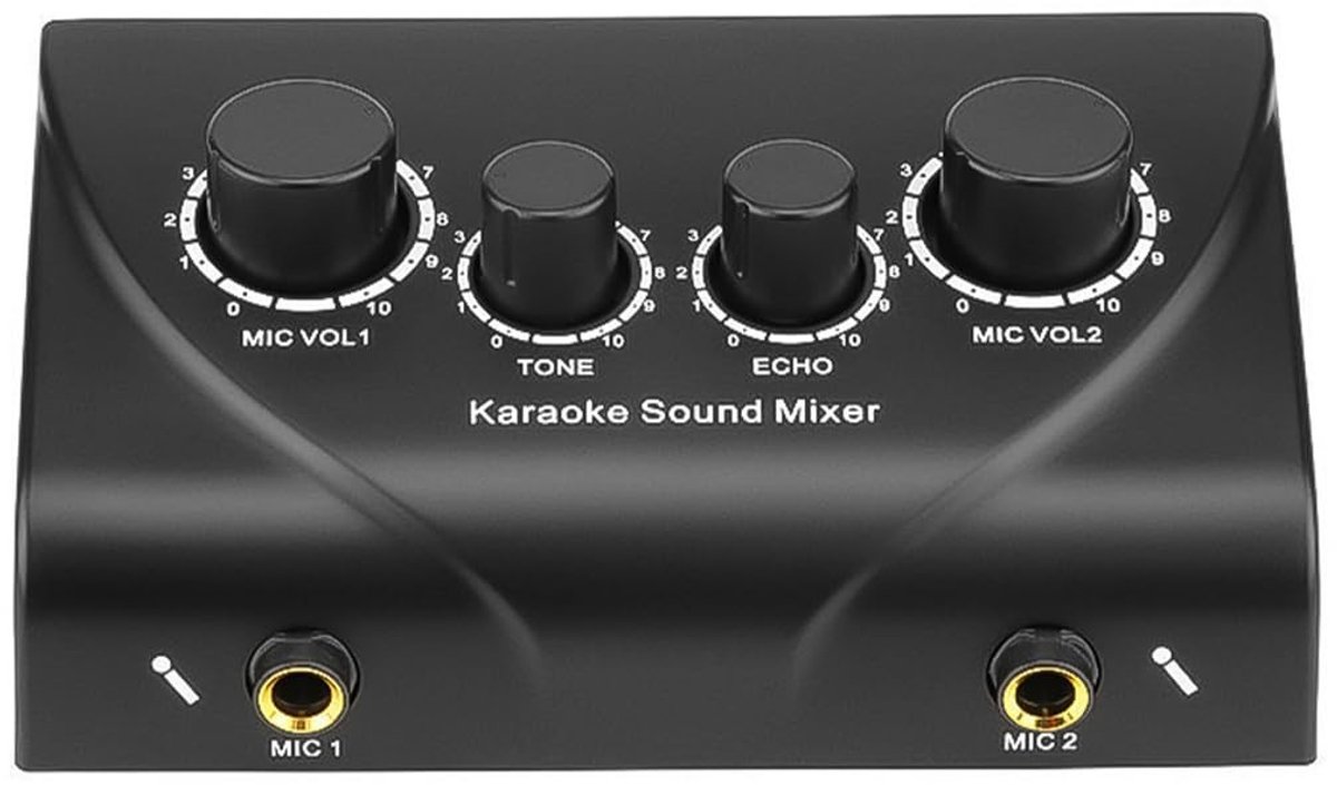 Dailygoody - Draagbare Karaoke Mixer - Karaoke machine - Voor familiefeest - 2 microfoon ingangen - Digitale audio mixer - Geschikt voor DJ's