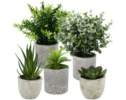 PromoHome Set van 5 kunstplanten - Mini vetplanten, agave, aloë - groen - voor binnen - onderhoudsvrij - 5 stuks