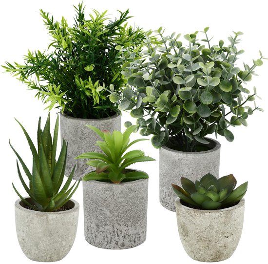 Vijf kunstplanten in grijze potten: een groenstruik, eucalyptus, aloë, slangentong en vetplant.