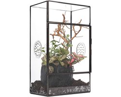 Glazen terrarium met zijdeur en drie ventilatiegaten voor grote springstaarten - 13 x 10 x 23 cm, rechthoekig, geschikt voor kleine vetplanten en insecten