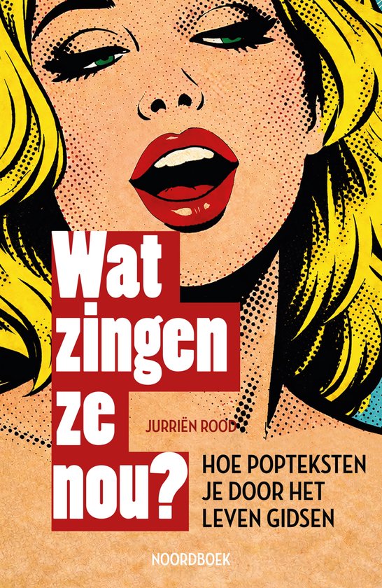 Boekomslag met popart-stijl vrouw, "Wat zingen ze nou? Hoe popteksten je door het leven gidsen".