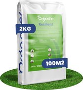 Herstelgazon Graszaad Snelkiemend (2kg - 100m2) Organifer - Gazonzaad - Graszaad Herstel en Doorzaai - Herstel Graszaad - Gazon Herstel - Graszaden voor Alle Gazontypes - Zelfherstellend - Hoge Betredingstolerantie - NAK Gecertificeerd