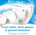 Tanden met muntblaadjes en schuim. Belooft frisse adem, sterk glazuur en gezond tandvlees.