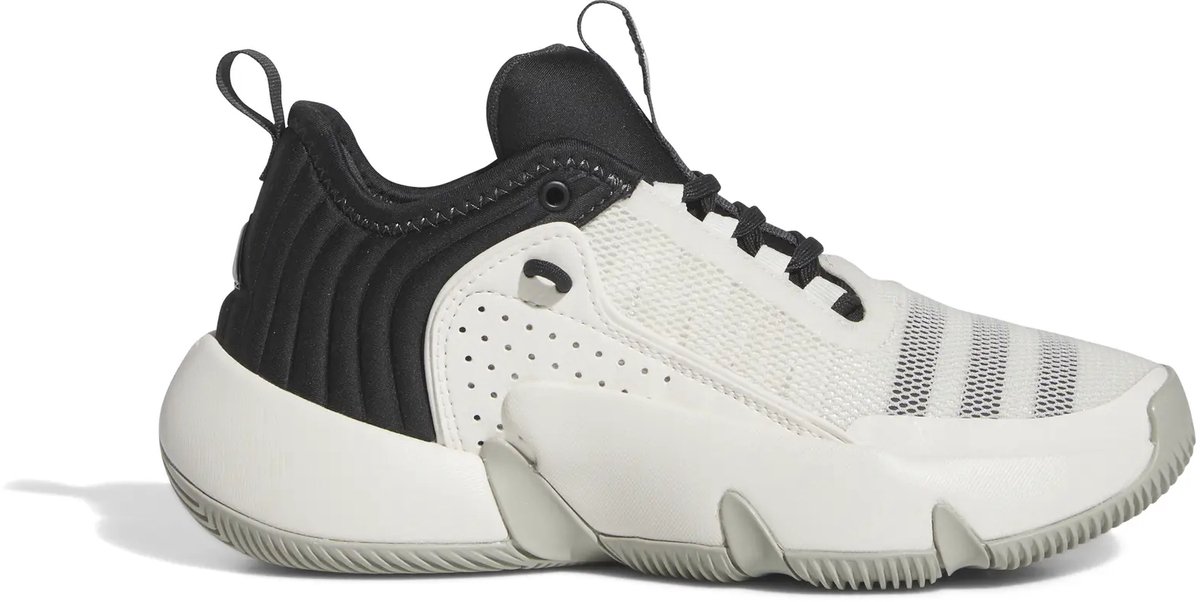 Basketbalschoenen voor kinderen adidas Trae Unlimited Zwart