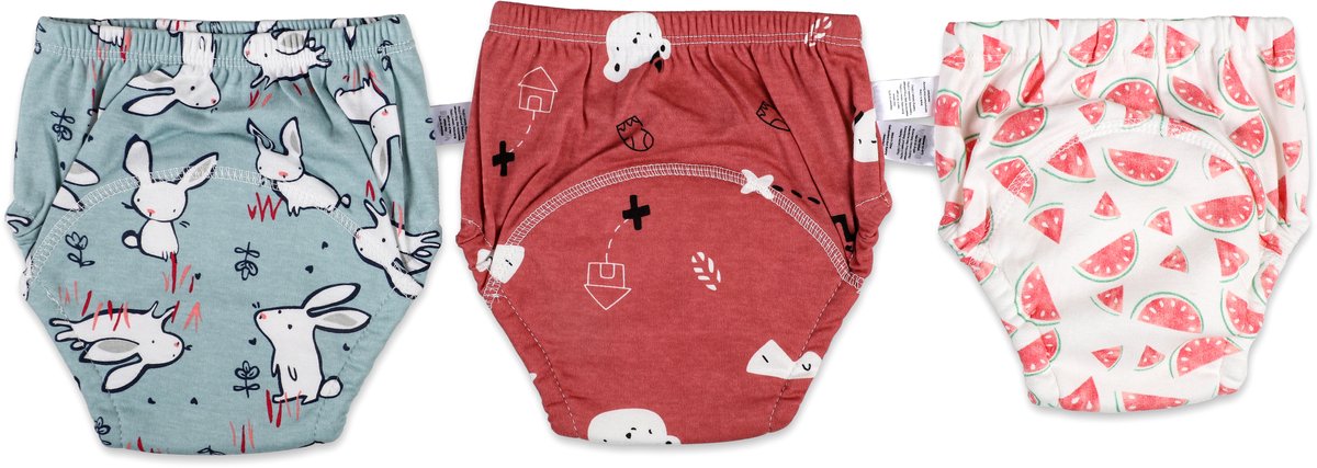 Bummy - Zindelijkheidsbroekjes - Oefenbroekjes zindelijkheid - 3 Stuks - Maat L (14,5-17kg) - Trainingsbroekjes - Wasbaar & Waterdicht - Zacht Premium Katoen - REACH-getest