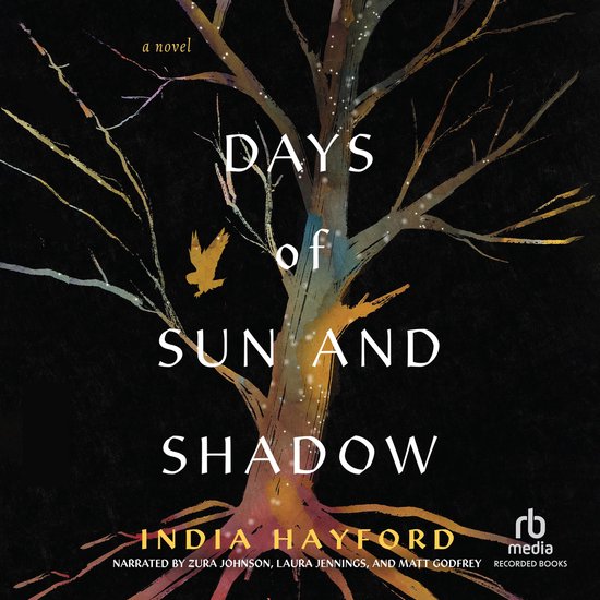 Days of Sun and Shadow - cover