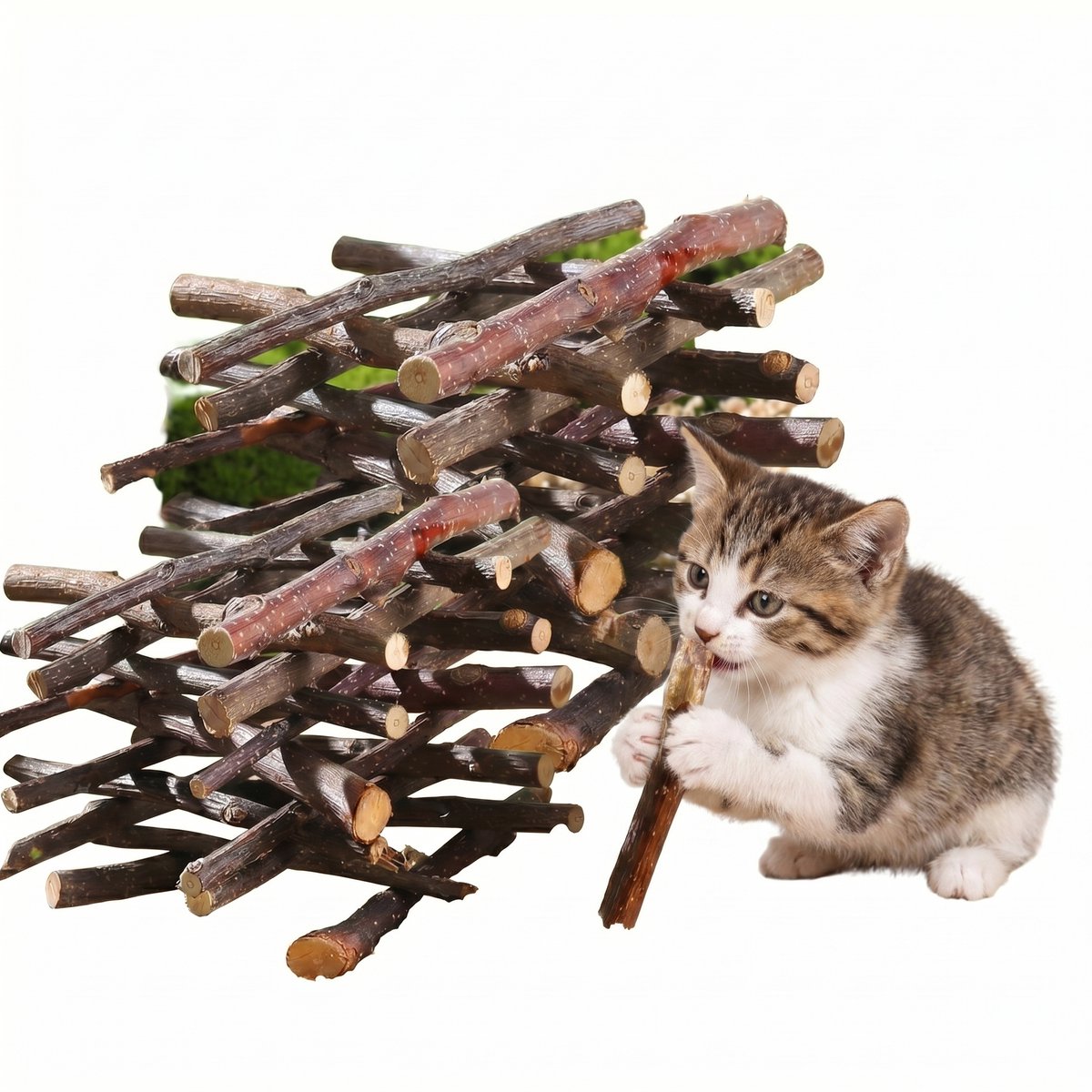 ECTEATOY® Knaaghout - gemaakt van 100% natuurlijke appeltakjes - geschikt voor knaagdieren - 100 g - kan gebruikt worden voor de gebitsverzorging van Hamsters, Cavia’s, Muizen, Ratten & Gerbils