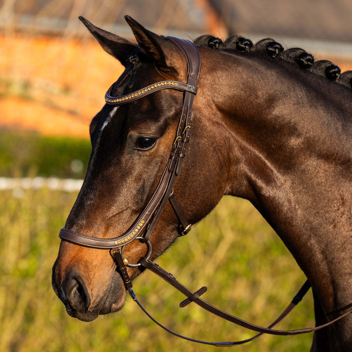 Hoofdstel Anatomic Gold | Cob