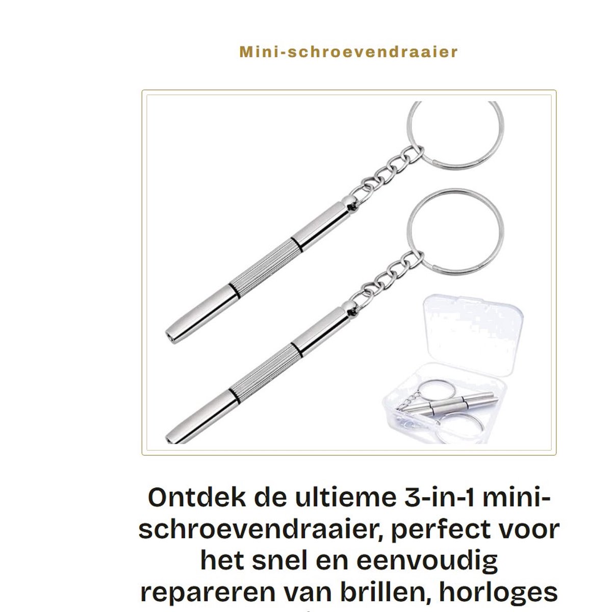 Dailygoods- Mini-Schroevendraaier 3-in-1 - Sleutelhanger - Brillenschroevendraaier - Mobiele Telefoons - Roestvrij Staal - Opbergkist