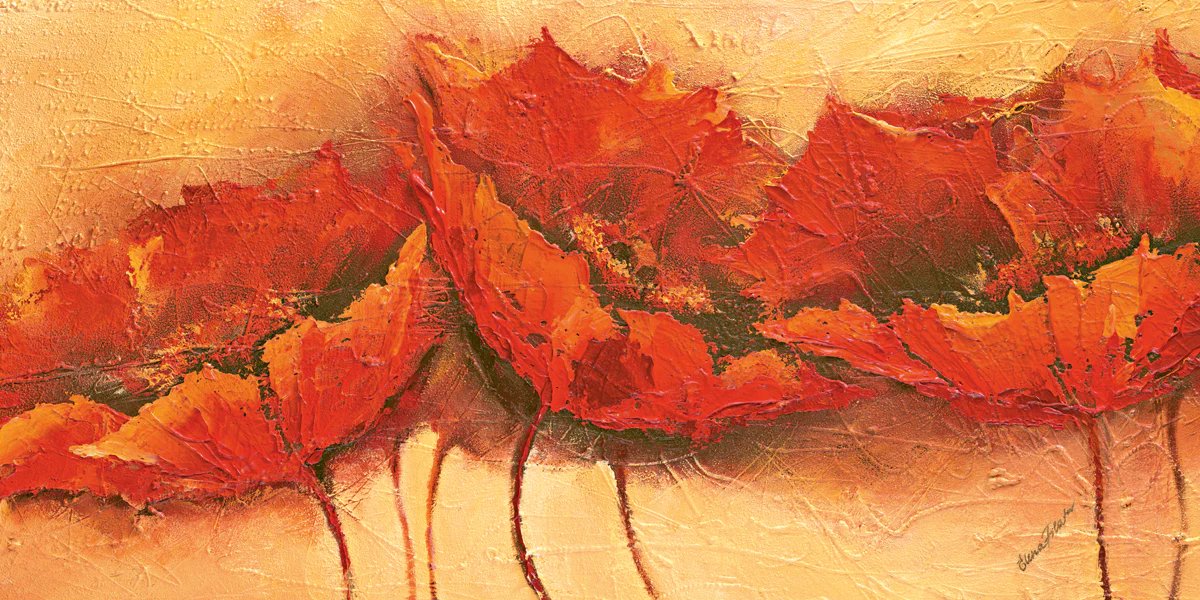 PGM poster PGM Elena Filatov - Wilder Mohn 100 x 50 cm (klaproos) diverse kleuren