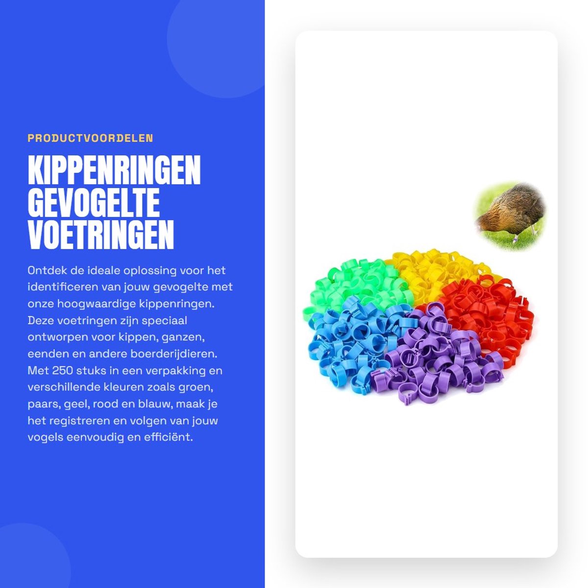 Dailygoods- Kippenringen 250 stuks - Gevogelte Voetringen - Herbruikbaar - Sterk/Duurzaam - Vogelidentificatieringen - PP Materiaal