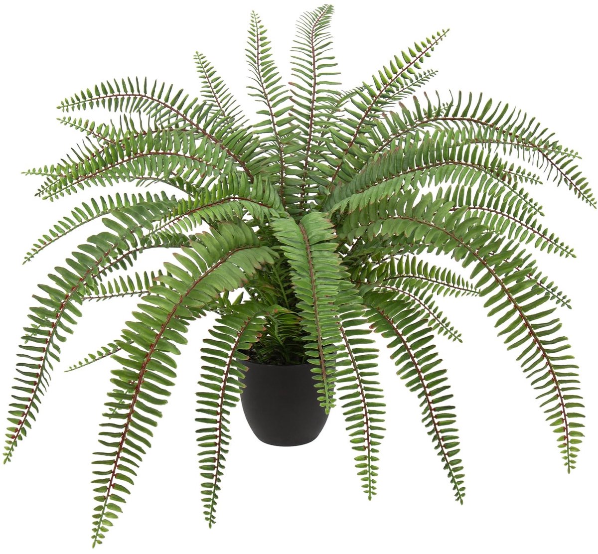 Dailygoods- Kunstplanten Groot - Varenplanten - Kunstgrasplanten - Decoratie voor Woonkamer/Balkon - Onderhoudsvrij - Realistisch Uiterlijk - Nepplanten