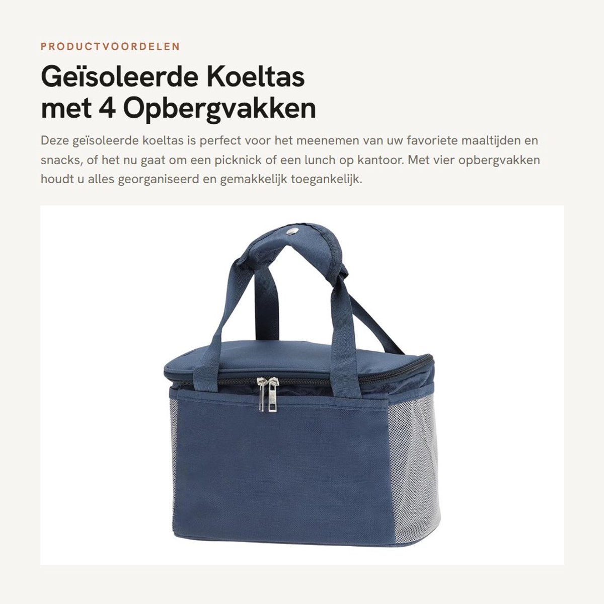Dailygoods- Koeltas Geïsoleerd - Waterdicht - Lekvrij - Opbergvak - Duurzaam - Schokbestendig - 4 Opbergvakken - Lunchbox