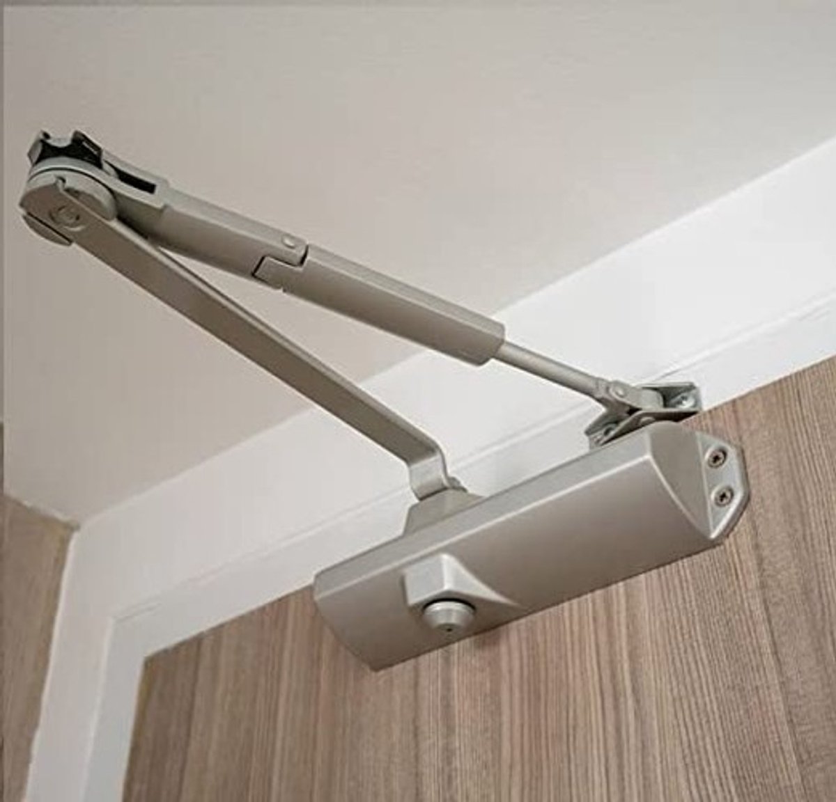 Dailygoods - Automatische Hydraulische Deursluiter - Verstelbare Sluitkracht - Voor Commercieel en Thuis - 45-65 kg - Zilver