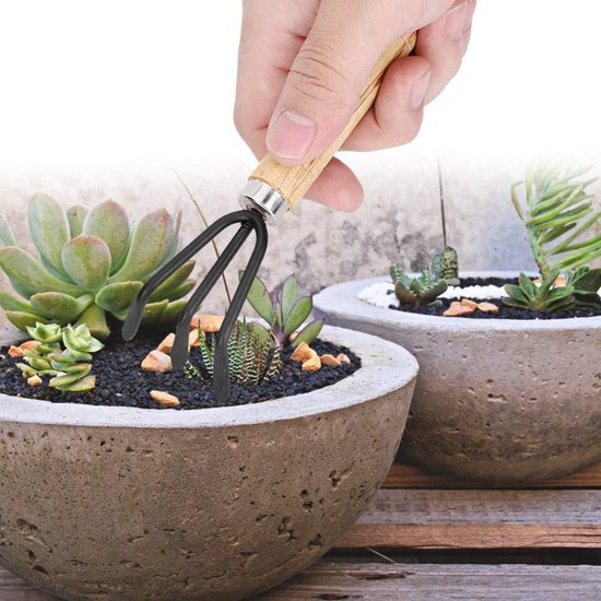 3 Piece Mini Tuingereedschap Set - Binnenplanten - Tuinwerkzaamheden - Spade Claw Rake Shovel - Bloemen Plantgereedschap van Merkloos	 — afbeelding 2