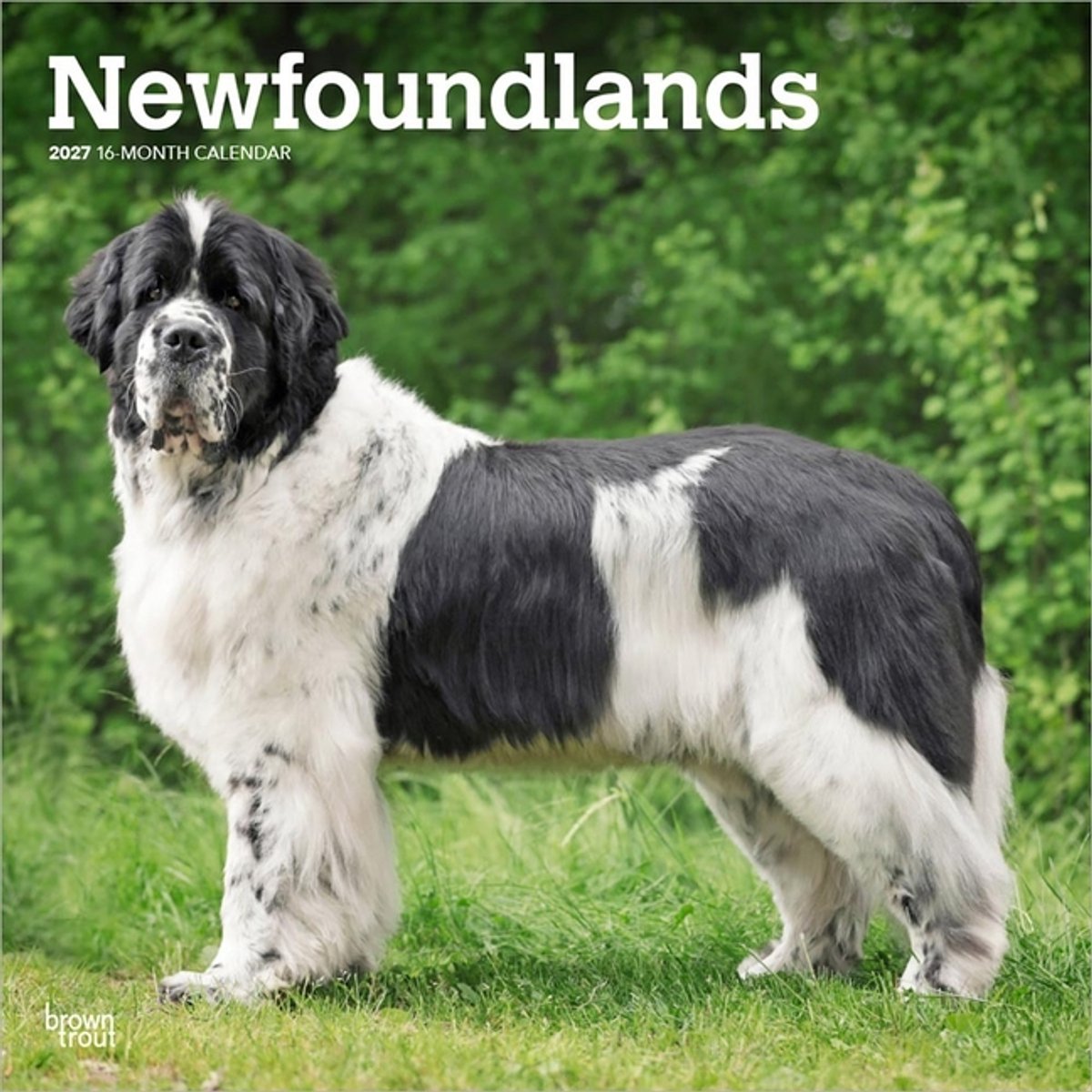 Newfoundlander Kalender 2027