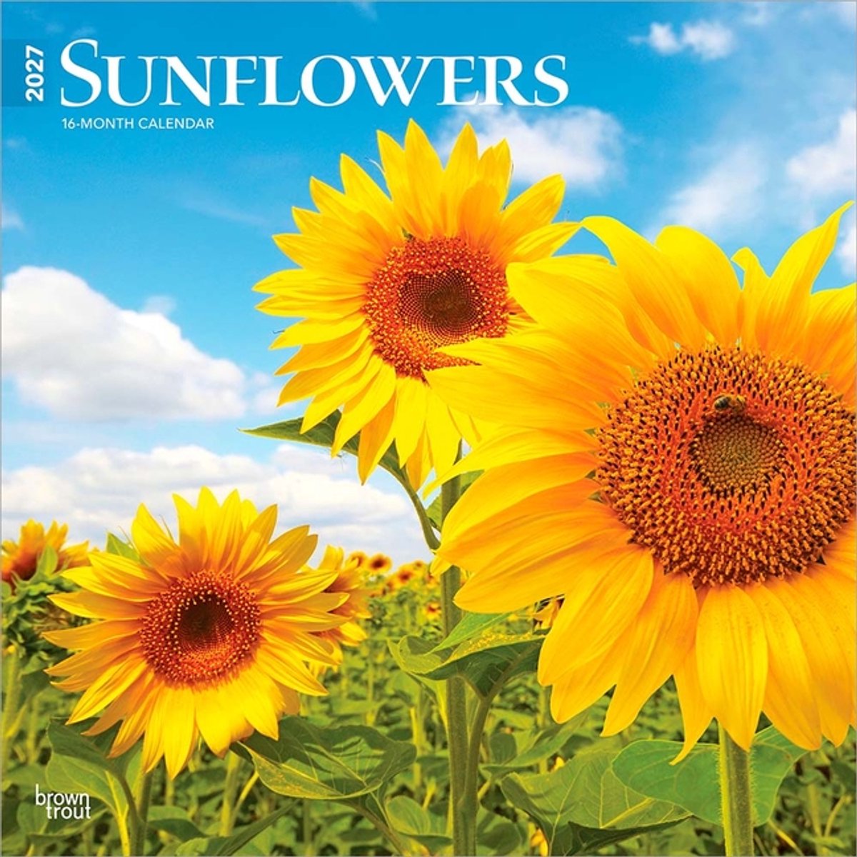 Sunflowers Kalender 2027