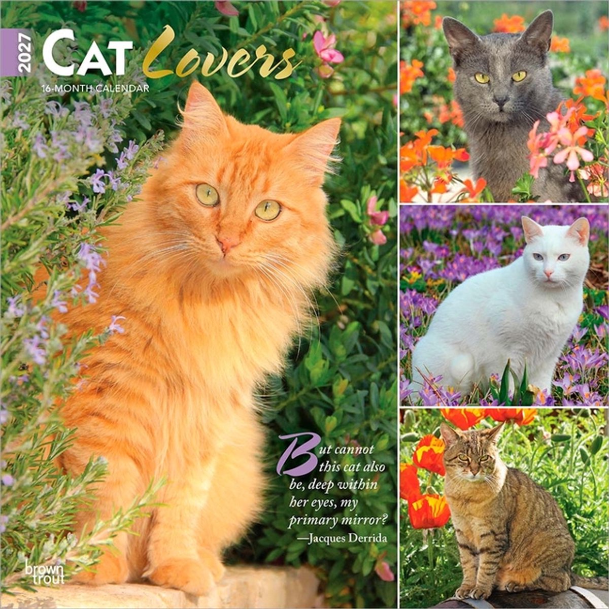 Cat Lovers Kalender 2027
