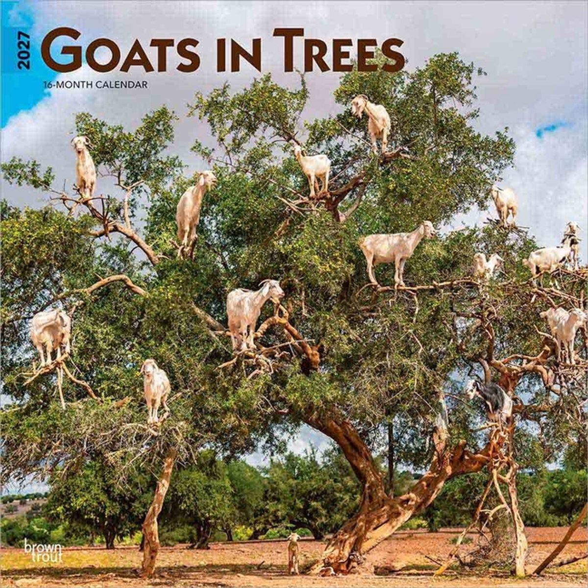 Goats in Trees Kalender 2027
