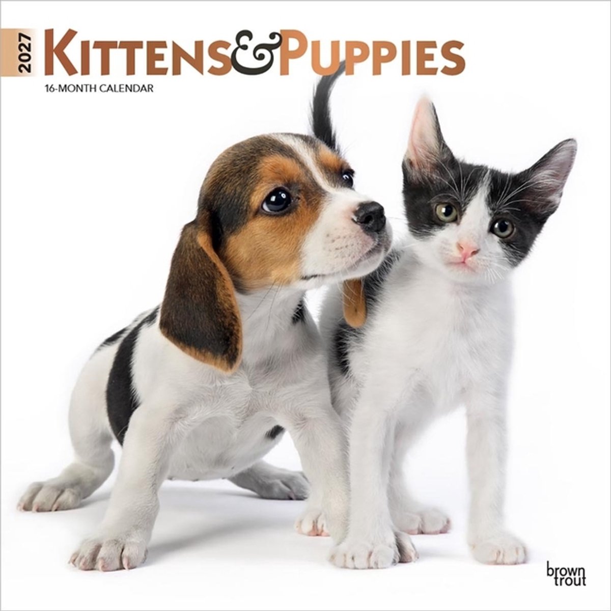 Kittens and Puppies Kalender 2027