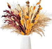 Pampasgras Boeket - Droogbloemen boeket - Natuurlijk Gedroogde Boeket - Boho Woondecoratie - Natuurlijk Bloemen - Voor Woonkamer, Slaapkamer & Bruiloft - Decoratie boeket - Decoratie Woonkamer - Romantisch - Geweldig Cadeau voor Vrouw & Man
