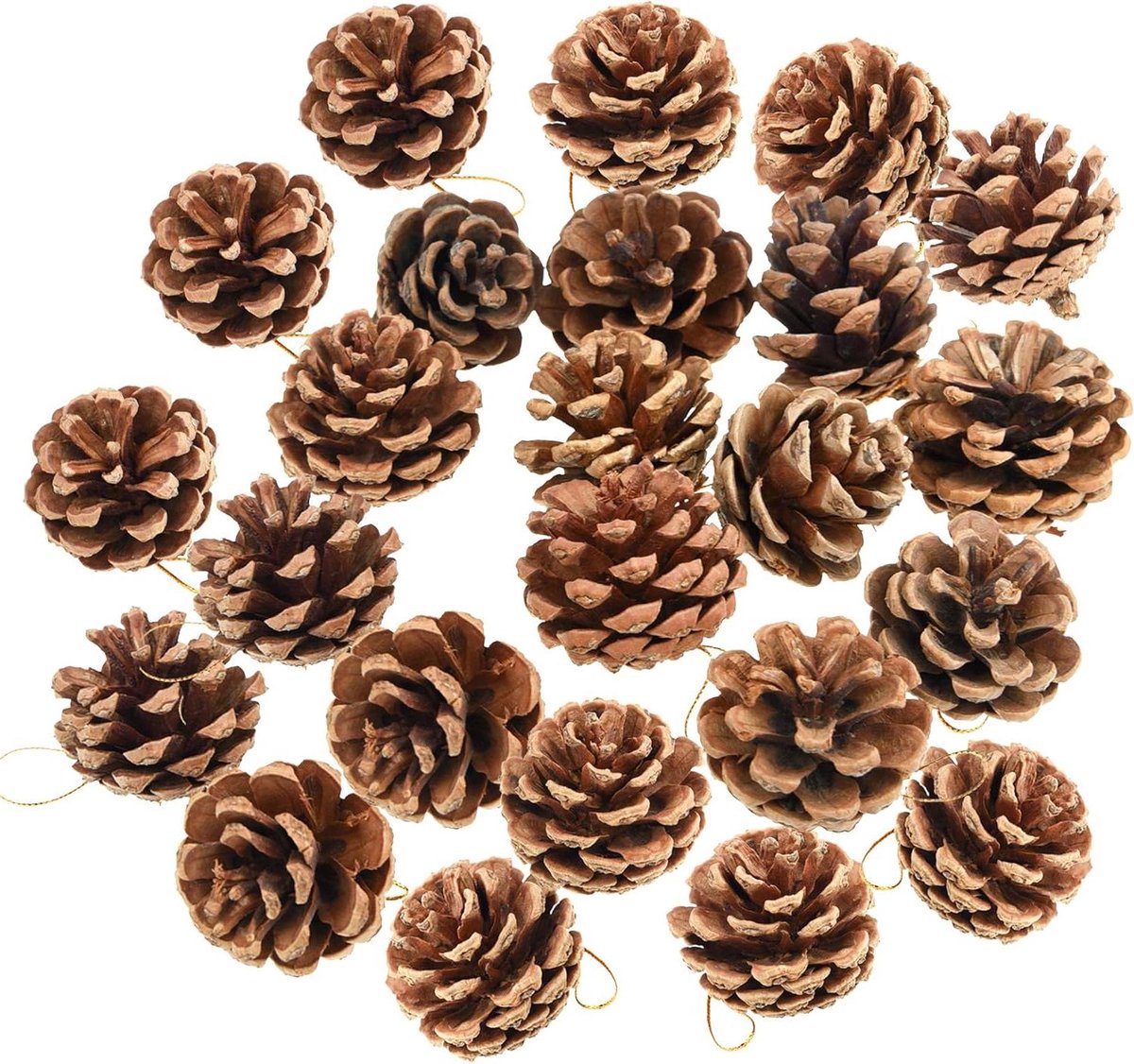 Natuurlijke Dennenappels - Rustieke Ornamenten - Herfst Decoratie - Met Ophangtouw - 24 Stuks - Bruin