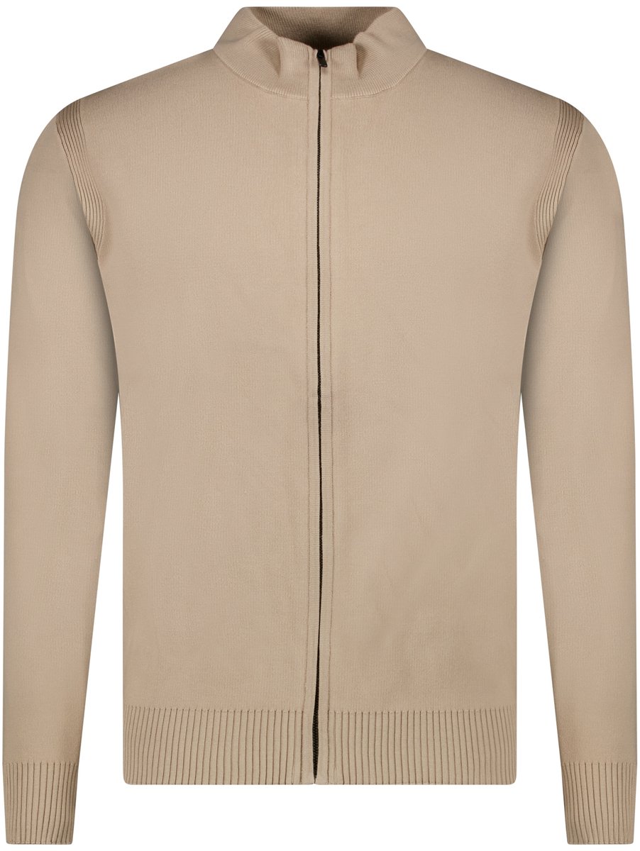 Cars Jeans Vest Taynor - Heren