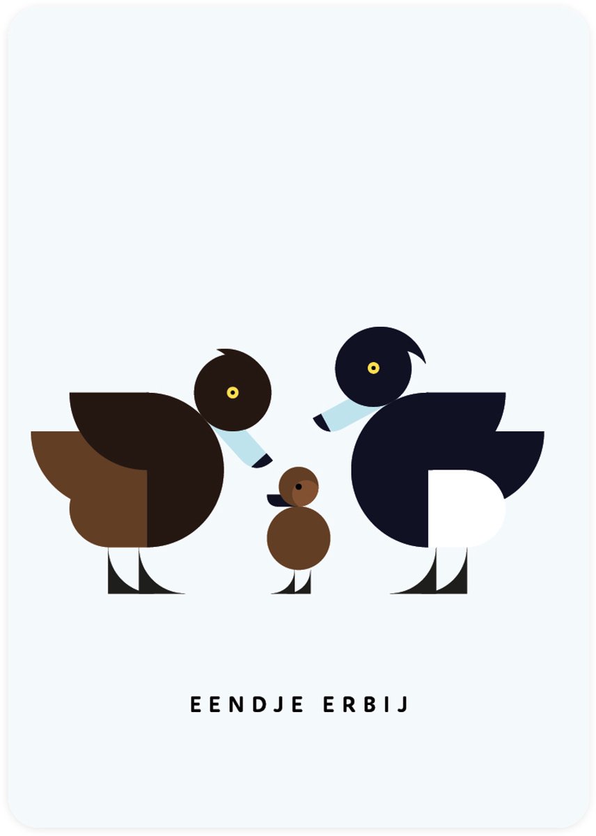 Eendje erbij - 4x leuke kaarten om te versturen - kaartenset - kaart met Kuifeenden - Eendje erbij - vier kaarten met vogels